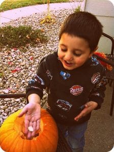 pumpkin seeds