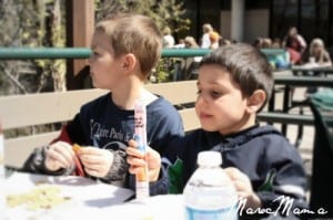 Minnesota Zoo Kids