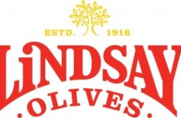 Lindsay Olives Summer Party