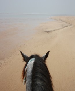 The Beaches of Mogador