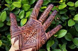 Guest Post: Henna – La Chaine