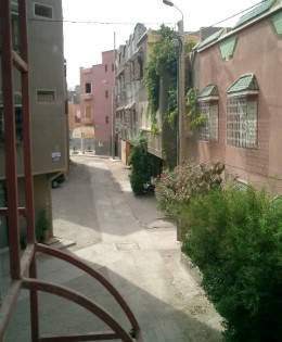 Wordless Wednesday: A Street in Marrakech