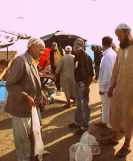 How to Buy A Shark in Morocco