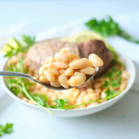 Slow Cooker Tajine with White Beans