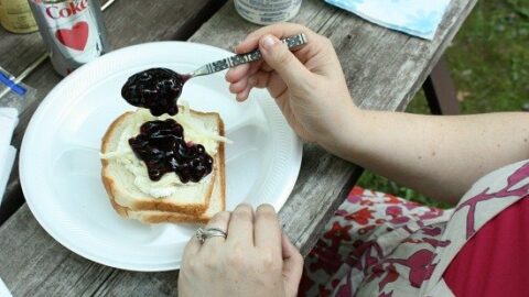 Blueberry Cheese Pudgy Pies