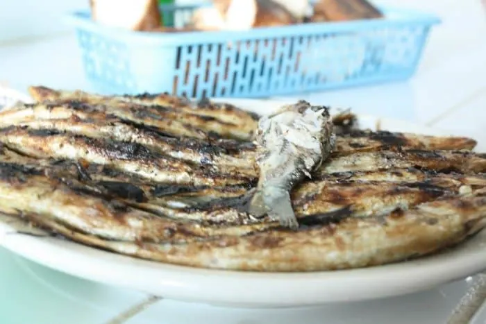 Grilled Sardines