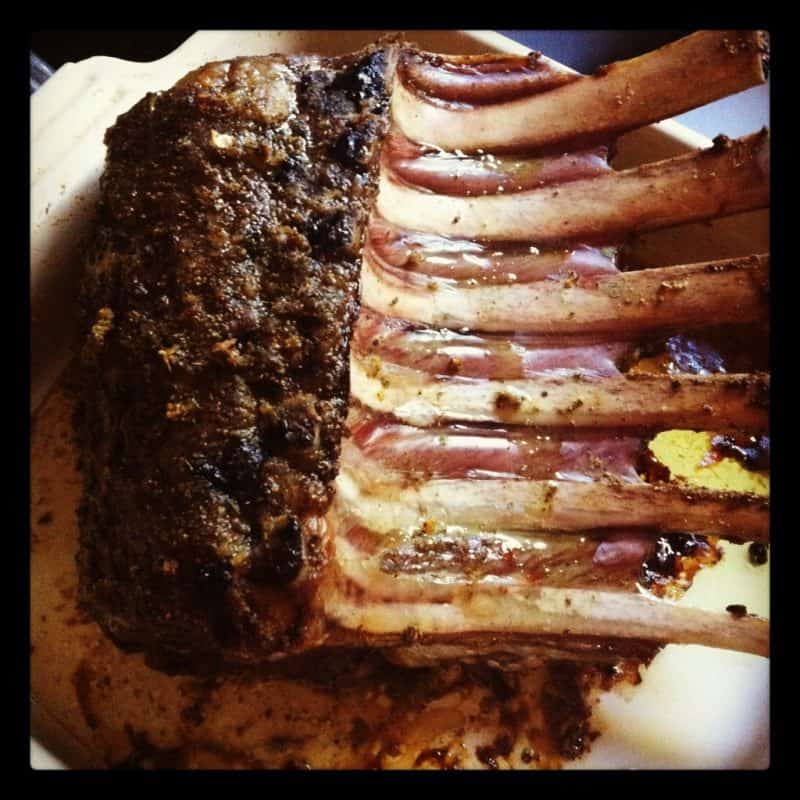 Roasted Moroccan Rack of Lamb MarocMama