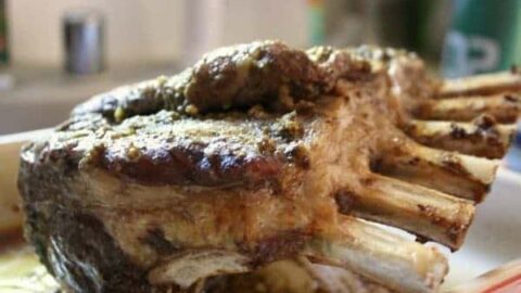 Roasted Moroccan Rack of Lamb