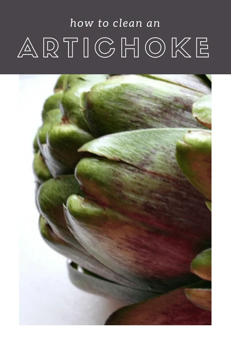 How To Clean An Artichoke