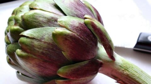 How to Clean an Artichoke