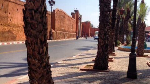 This Week In Marrakech : What I’ve Been Doing