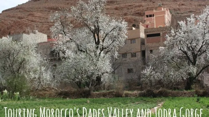 Moroccos Dades Valley and Todra Gorge