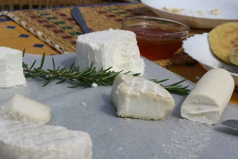 Cheese Tasting in Fez
