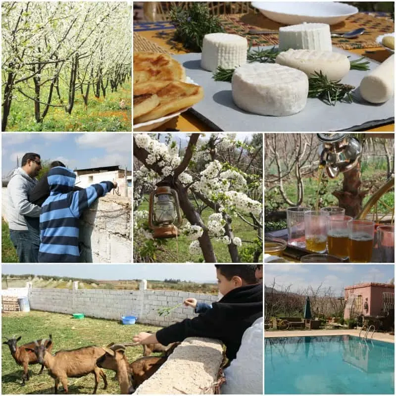 Domaine de la Pommeraie Collage