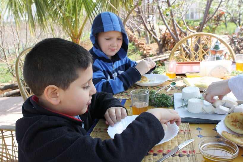 kids Tasting Cheese