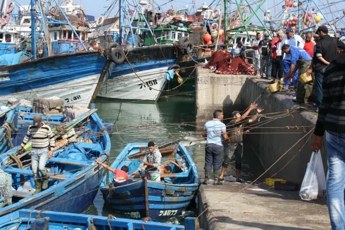 Day Trips from Marrakech: Essaouira