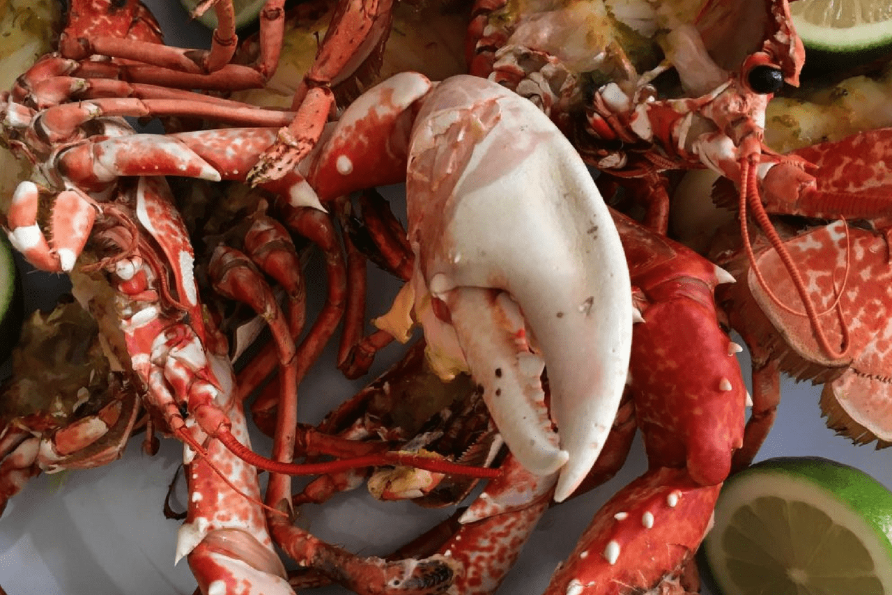 Where to Eat in Essaouira: The Atlantic Seaside Resort