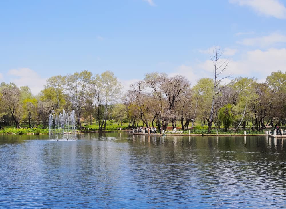 Park in Ifrane Morocco