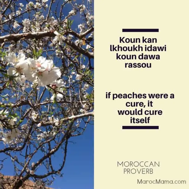 If peaches were a cure, it would cure itself - Moroccan proverb | MarocMama.com