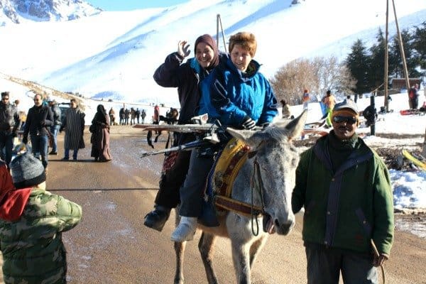 Mule to the Ski Lift in Oukaimden