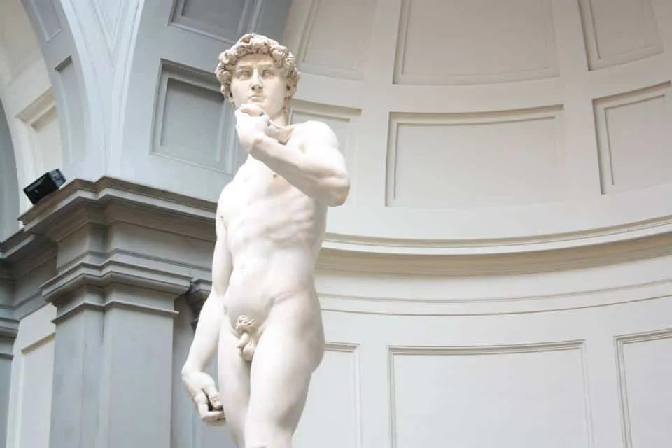 Michaelangelo's David Sculpture