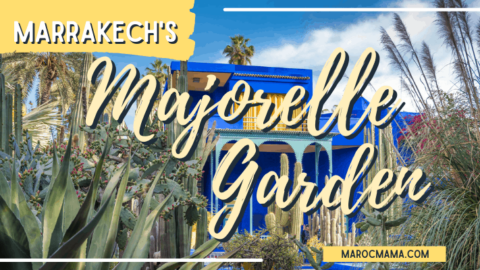 Marrakech’s Jardin Majorelle