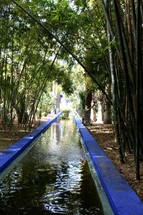 Majorelle ponds and trees