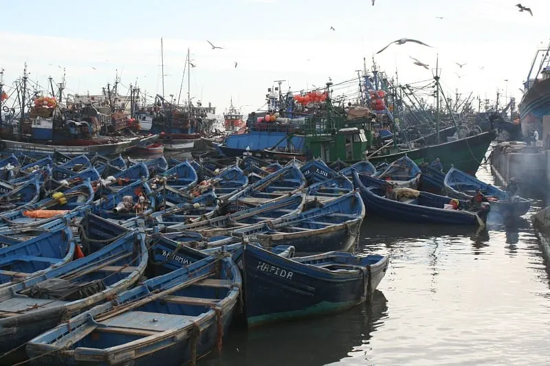 Blue Boats in Essaouira