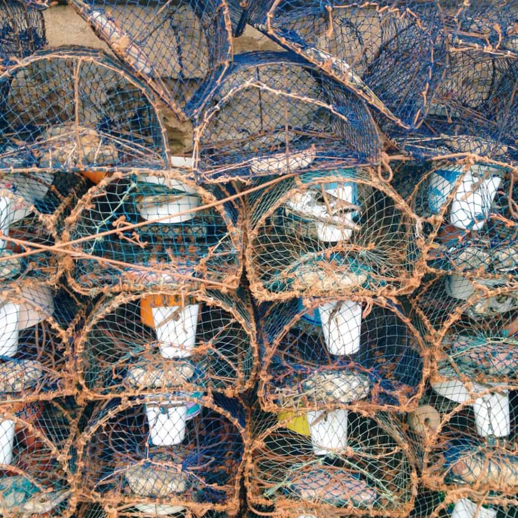 Crab Traps Essaouira