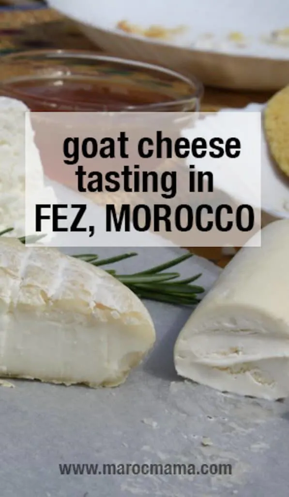 Goat Cheese Tasting in Morocco
