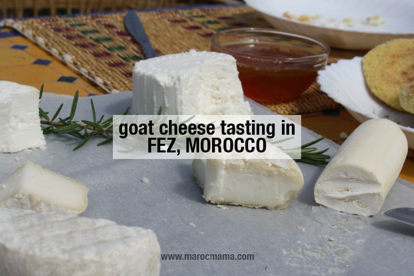 Organic Goat Cheese Tasting in Morocco