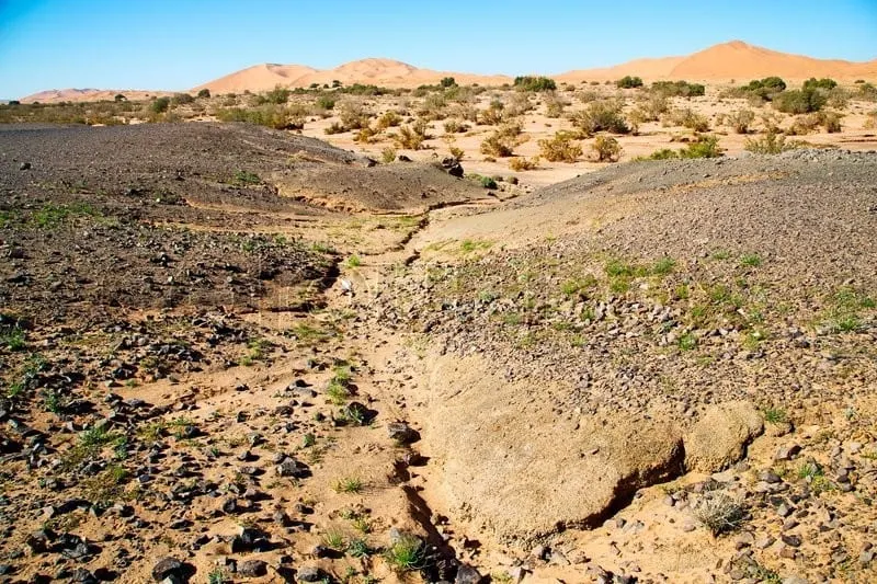 morocco-fossil-field