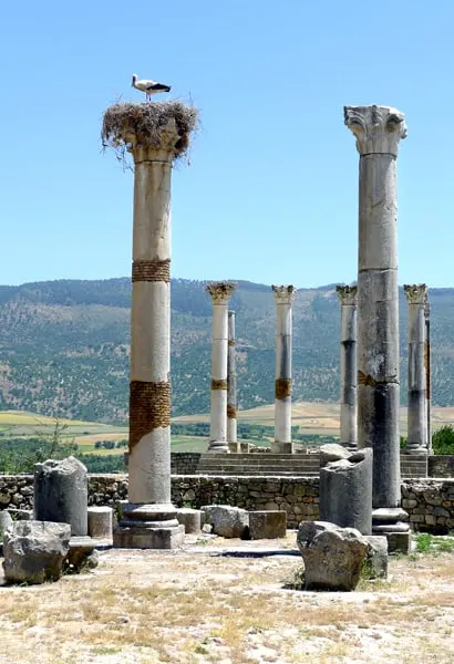 Volubilis Morocco