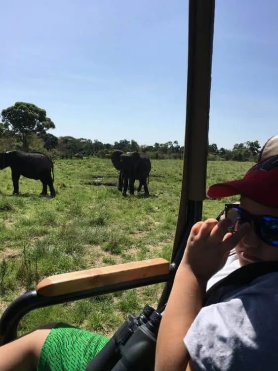 In the safari jeep Masai Mara Kenya