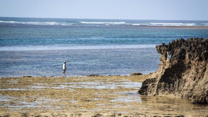 A weeklong Itinerary for Kenya with Kids