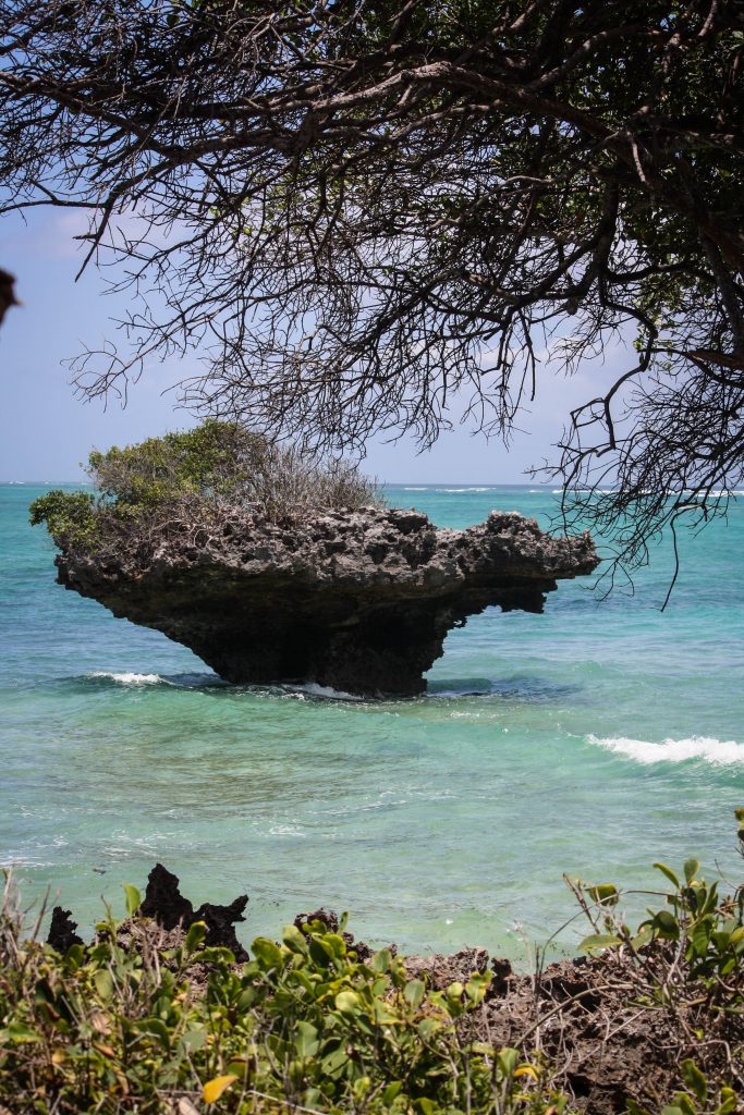 Outcropping in Indian Ocean Kenya