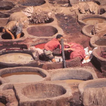 Fez Tanneries