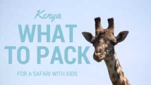 What to Pack for a Safari with Kids