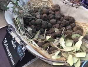 Truffles at Market in Southern France