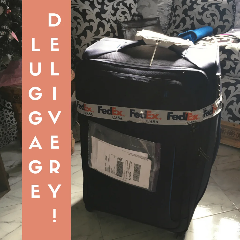 luggage free delivery