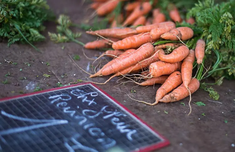 Using Natural Light for Great Food Photos