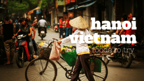 Top 5 Weird Foods to Try in Hanoi, Vietnam