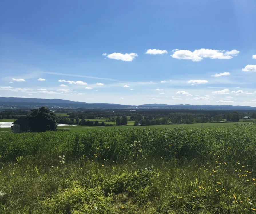 Toten Norway Green Farms in Summer