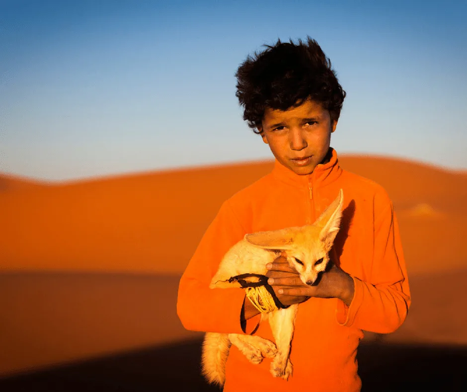 Where to go in Morocco in April