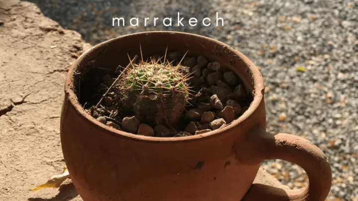 10 Ways to Spark Your Creativity in Marrakech