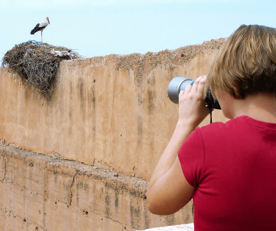 Photography Workshop in Marrakech