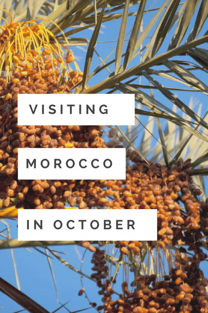 Date palm tree behind text that says visiting morocco in october