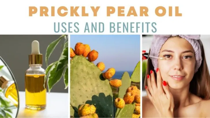 Prickly Pear Oil Uses and Benefits: Left to right, Prickly pear oil in a glass bottle, prickly pear cactus, and a woman using prickly pear oil for skin care