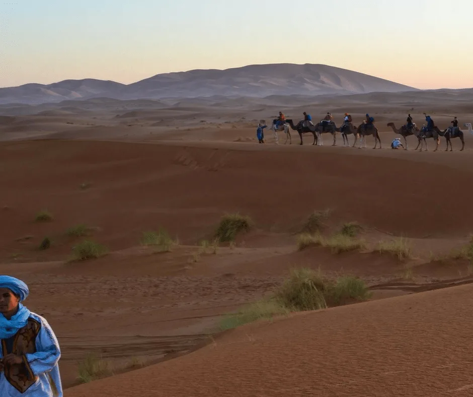 Sahara Desert Camel Caravan