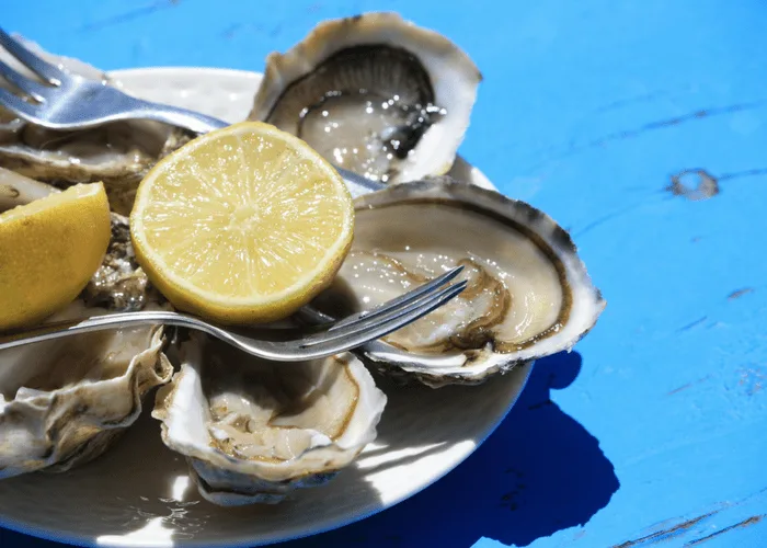 Fresh Dakhla Oysters